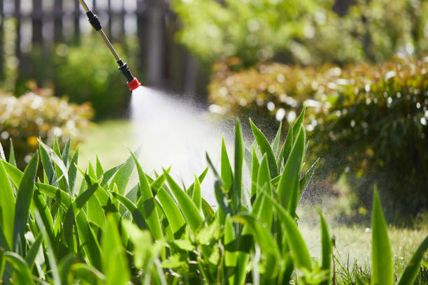 24/7 Emergency Wasp Removal experts in Bridgewater, VA