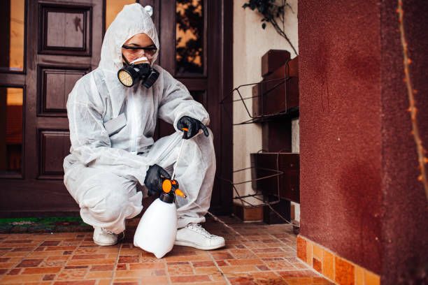 Reliable Wasp Removal contractor in Bridgewater, VA by Show Me Pest Control