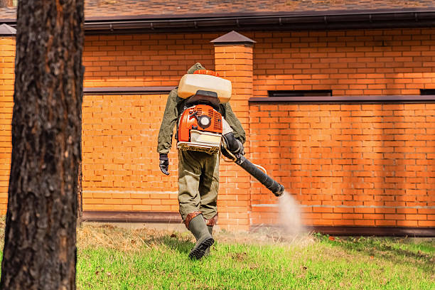 Top rated local Wasp Removal specialists in Bridgewater, VA